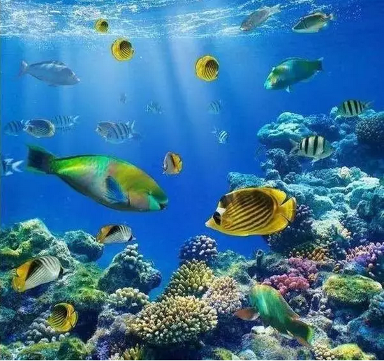 科技海洋盛宴,最新捕鱼游戏送金币,开启捕鱼新纪元!