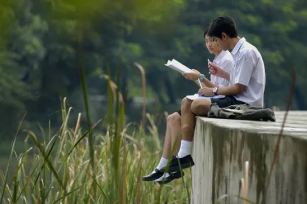 葵司电影,自然美景之旅,探寻内心宁静与平和的旅程