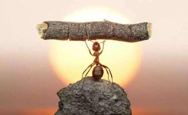 李清照电影，自然美景中的心灵之旅