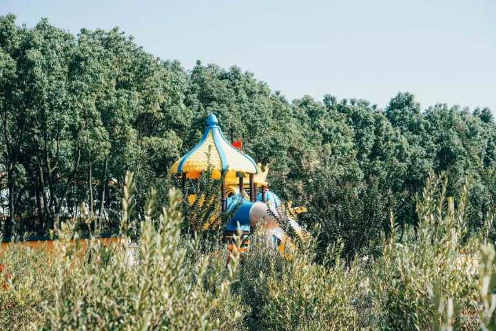 舟山楼市最新动态及小巷深处的特色小店探索