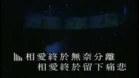 最新情歌推荐,小巷深处的音乐宝藏大揭秘