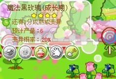 新芝麻的魔法时刻，友情与陪伴的温馨故事及上市时间揭秘