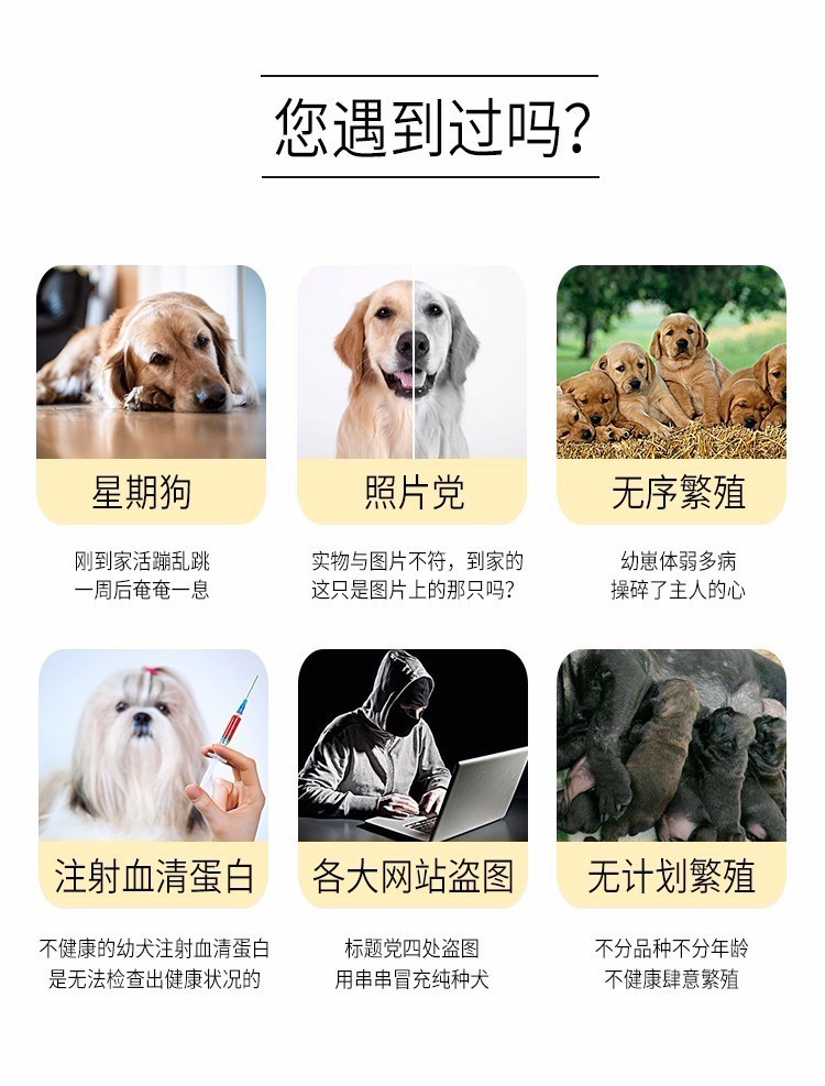 7777788888精准狗狗,深度研究解析_体验版57.609