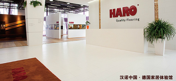 德国汉诺地板价格详解与分析