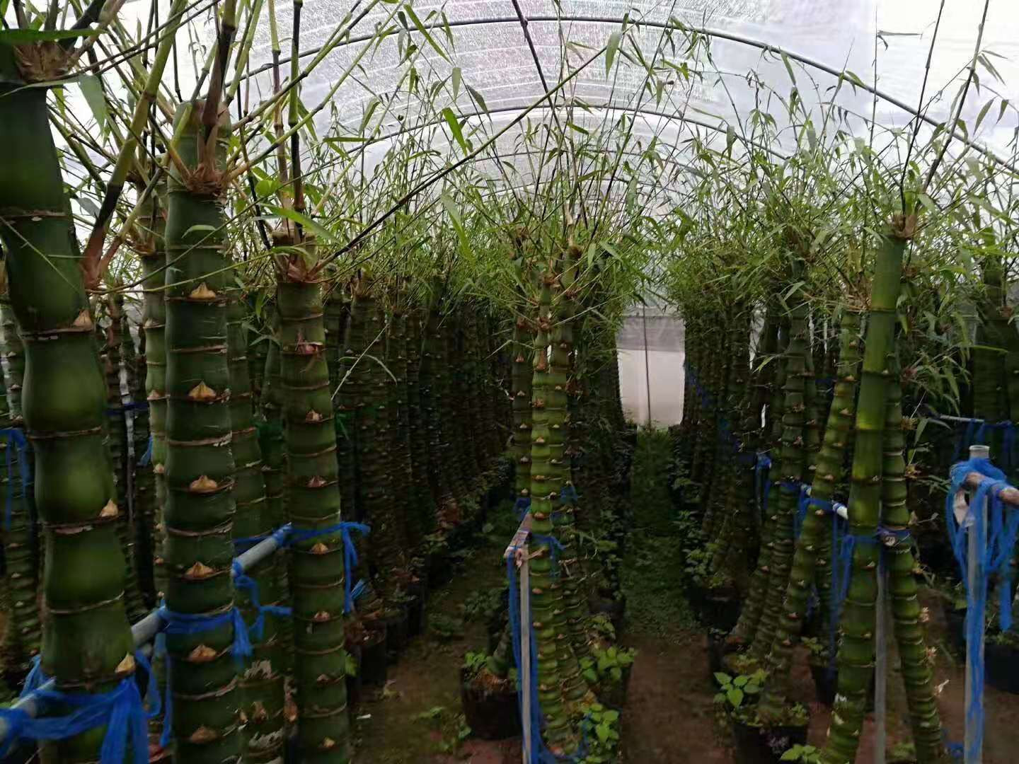 禾辉云文化科技 第232页