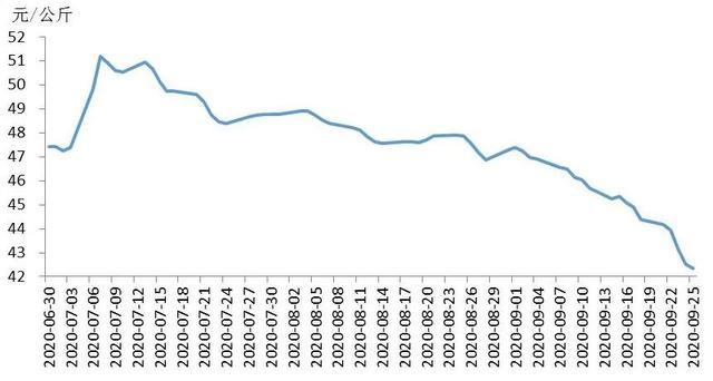 生猪价格最新动态及市场走势分析与展望