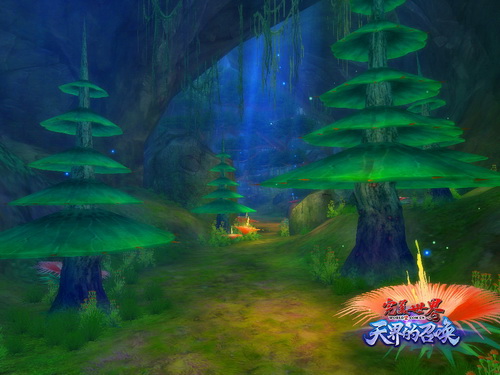 保皇比赛视频,自然美景与心灵平静的探寻之旅