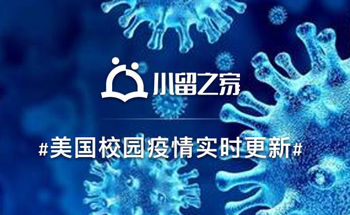 全球疫情动态，美国最新进展与小巷独特发现