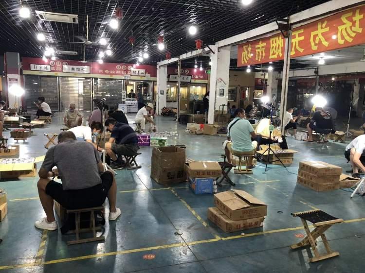虫类市场动态概览