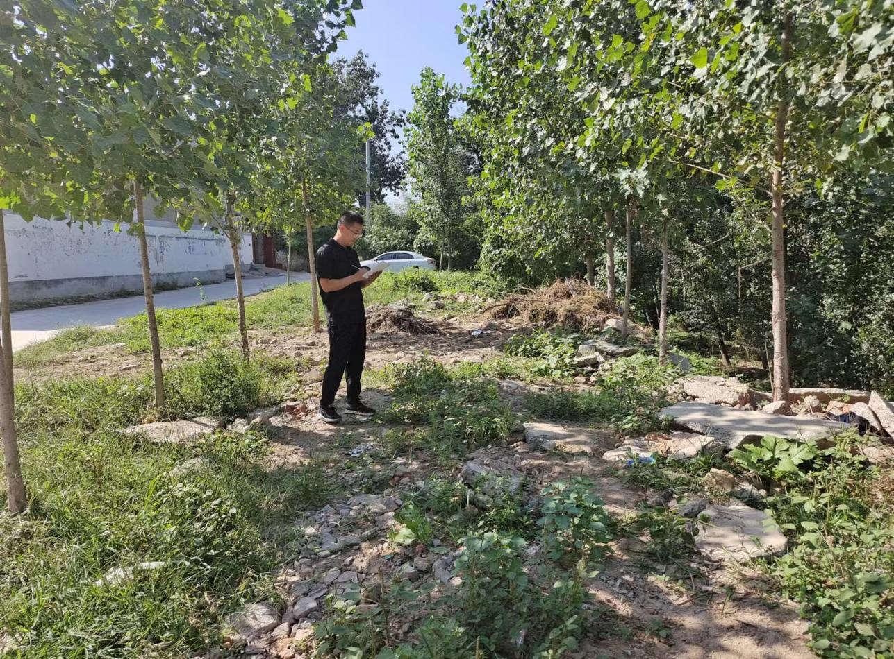 内黄环保最新资讯,小巷深处的绿色奇遇