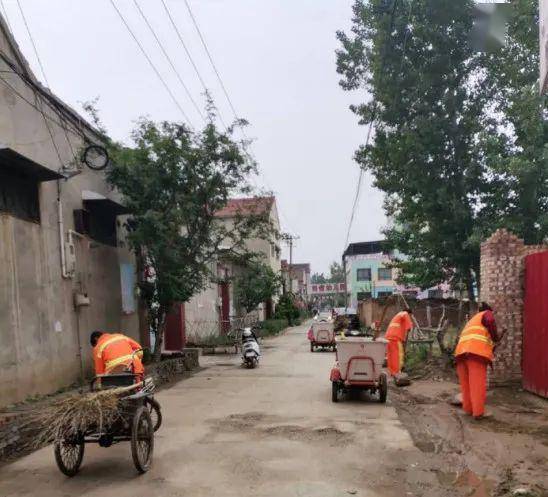 内黄环保最新资讯,小巷深处的绿色奇遇