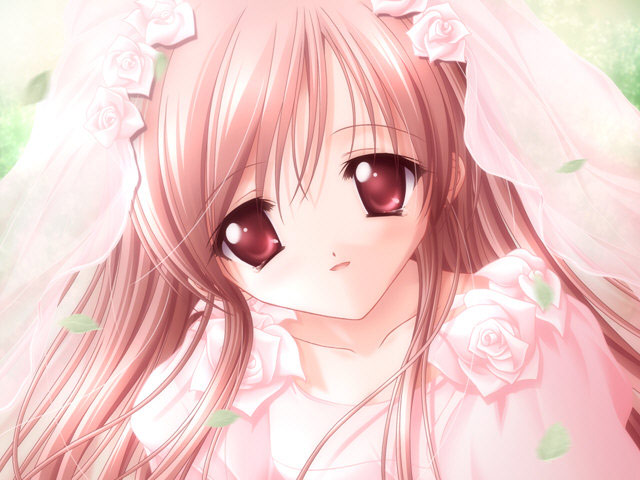 动漫公主日常图片集,公主们的世界