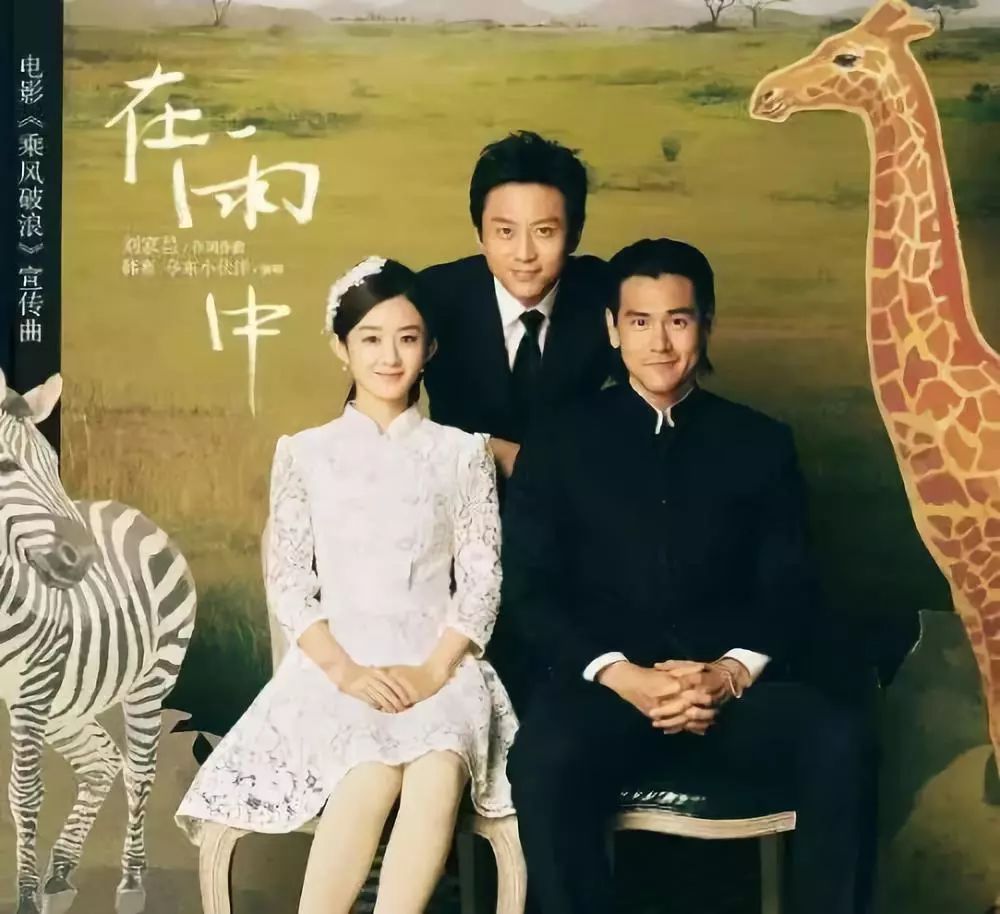 电视剧野鸭子第二部,观看指南与剧情解析