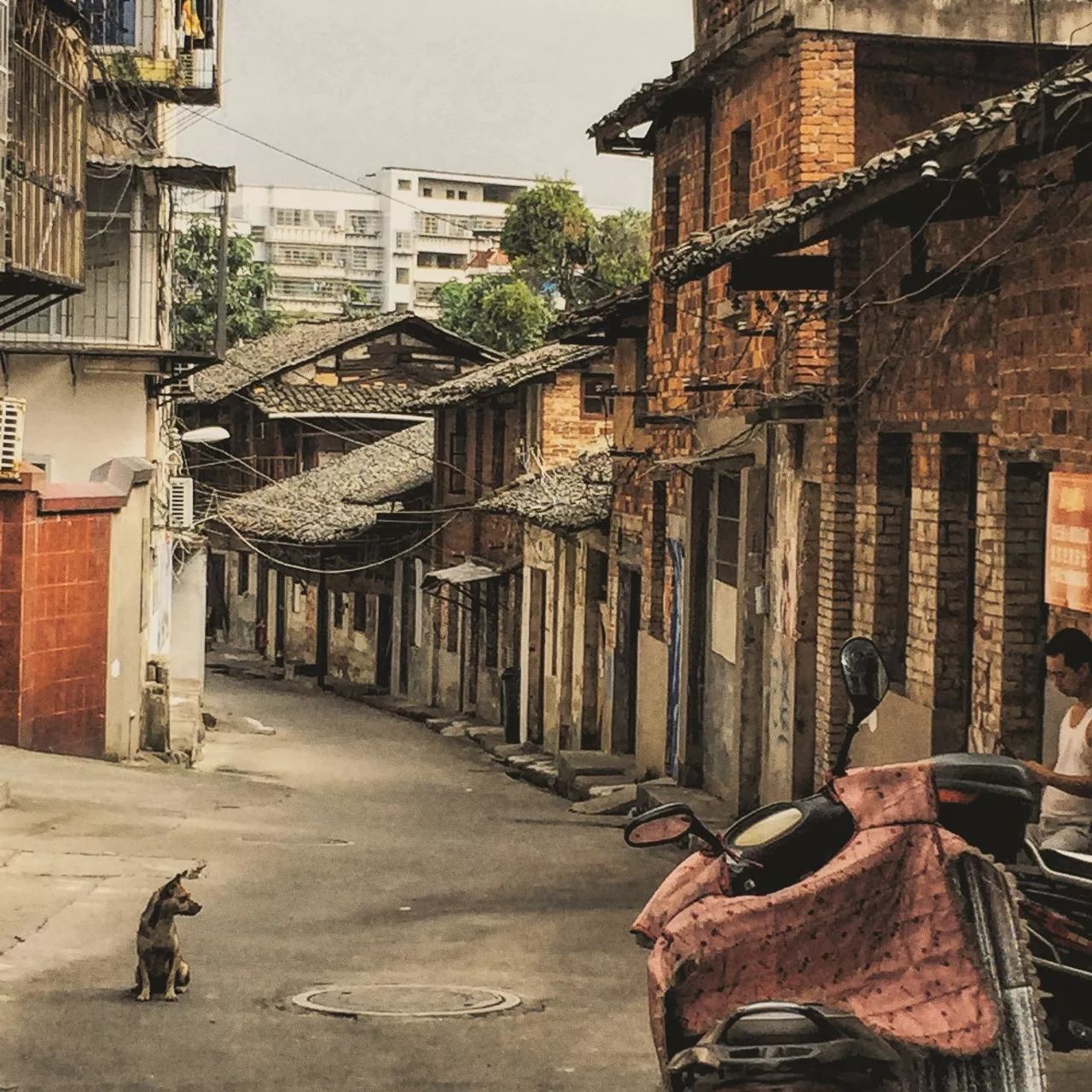 赣州最新报道,小巷深处的独特风情揭秘
