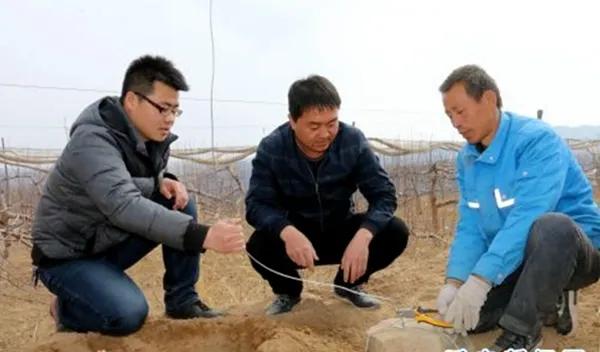 大同组织部最新公告，任务完成指南与技能学习步骤详解