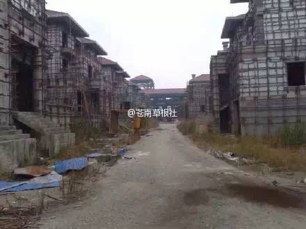 苍南华臣一品最新动态揭秘,小巷独特风情成焦点