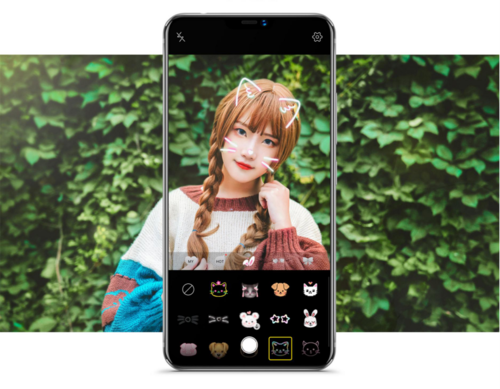 朴妮唛最新发现,小巷中的隐藏宝藏,独特环境魅力无限