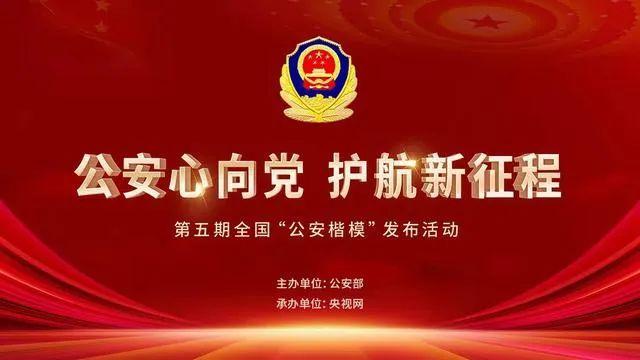 关于最新网站趋势的论述，探索2017年最新网站发展动态