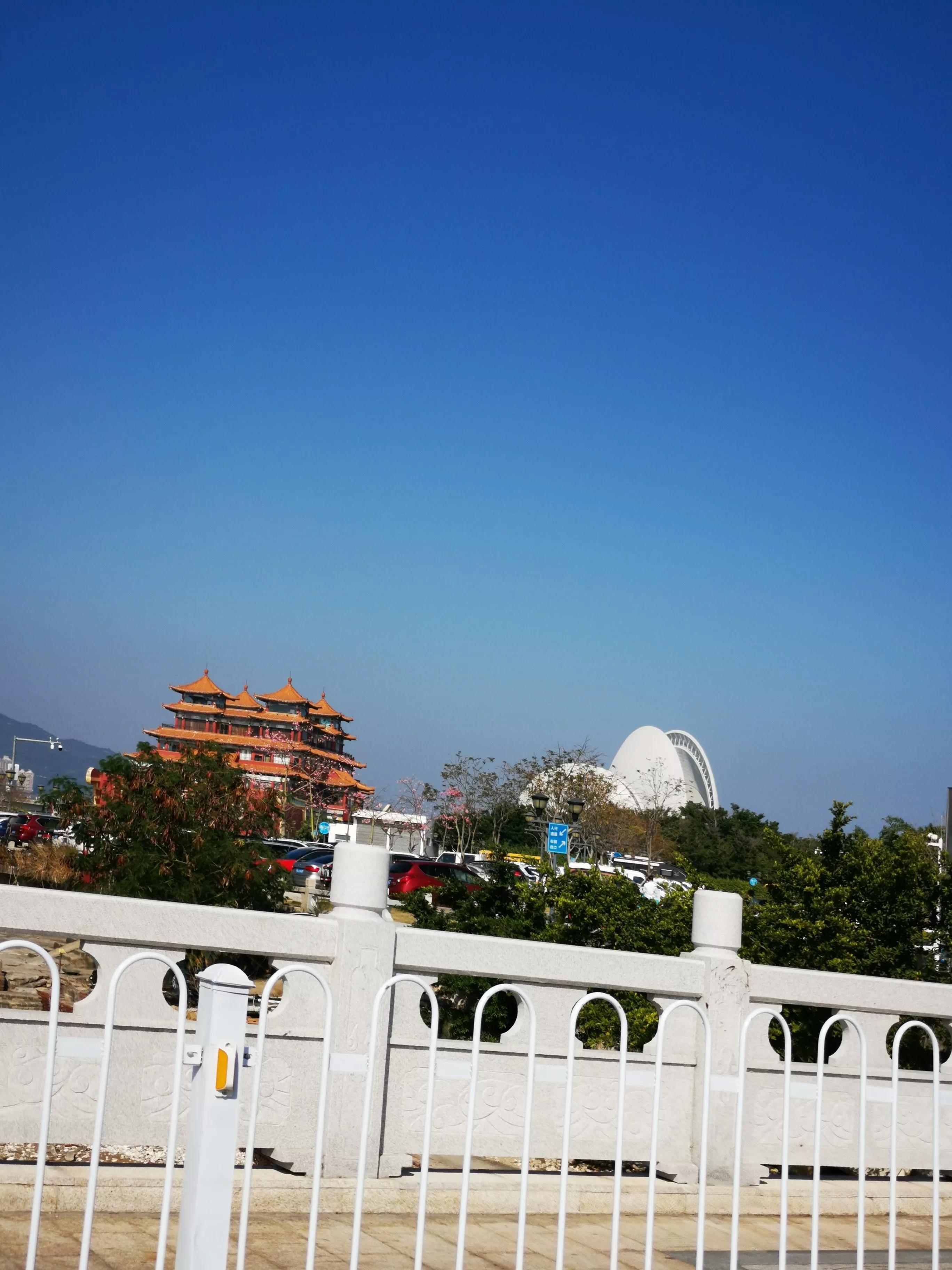 比亚迪最新电动汽车的日常趣事揭秘