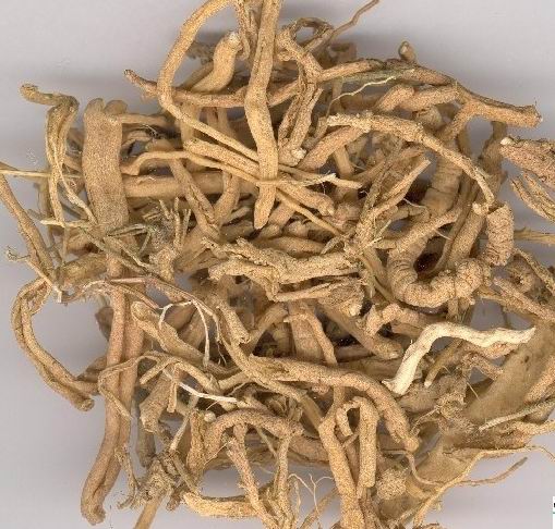 远志最新价格指南,获取与理解步骤详解