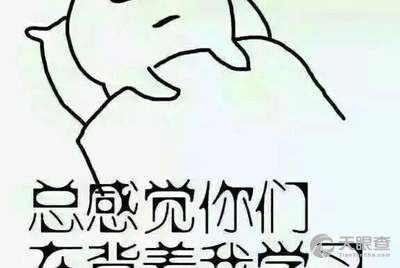 灯花笑最新章节揭秘,变化中的学习之旅与自信成就感的奇妙碰撞