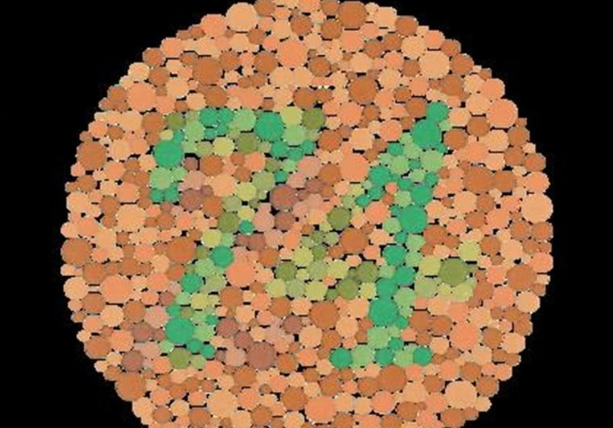 色盲测试图最新版,视觉之旅探寻内心平静