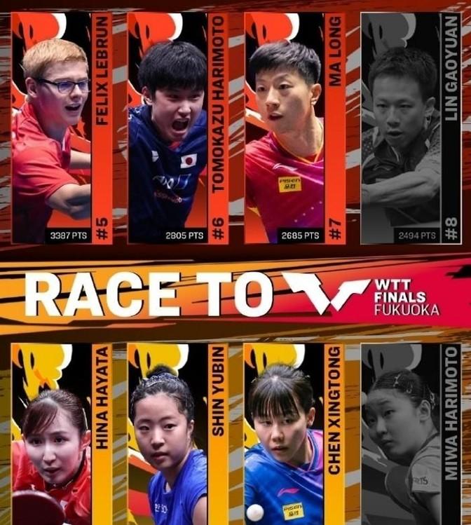 羽毛球女单群雄逐鹿,最新排名揭示谁领风骚?