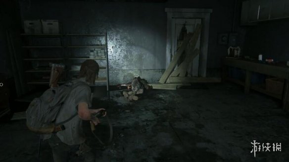 最新恐怖电影,自然美景背后的勇敢之旅探索尘嚣之外的世界