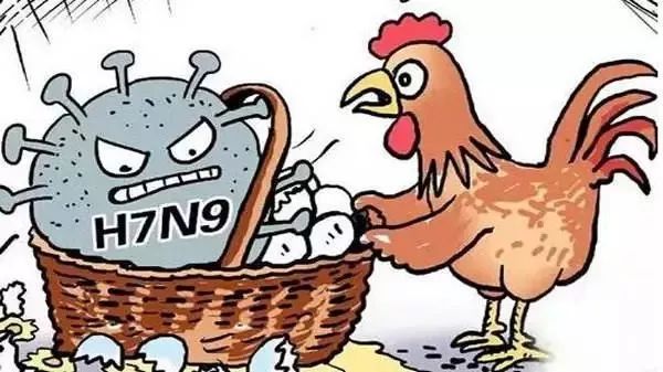 H7N9最新疫情，防护指南与应对策略