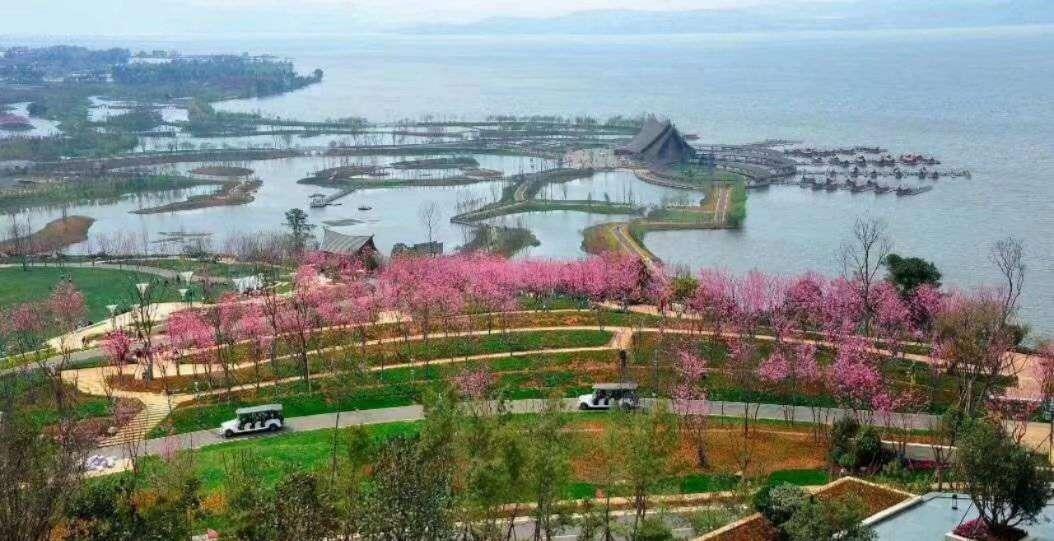 古滇名城最新动态，友情的温暖与家的陪伴