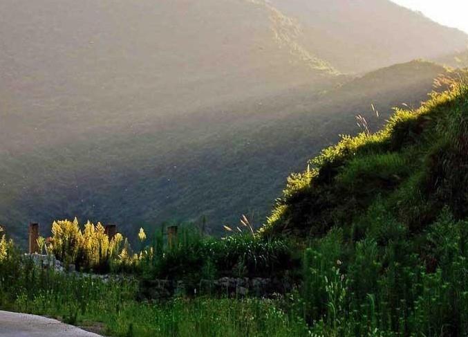 最新国际黄金价格,与自然美景相遇,探寻内心宁静之旅