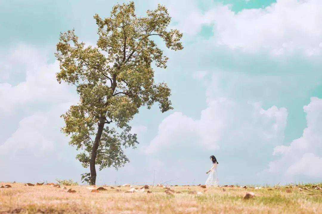 最新法师的成长之路,学习变化,自信成就,笑对人生励志之旅
