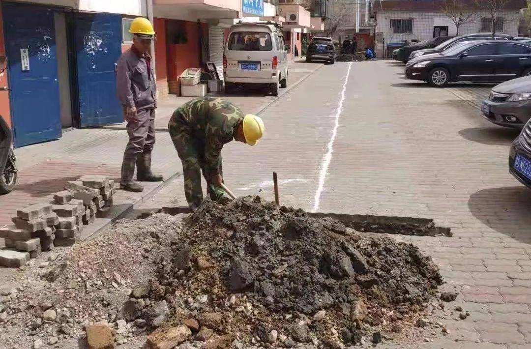 最新品种桃,探索变化中的学习之道,自信成就的力量