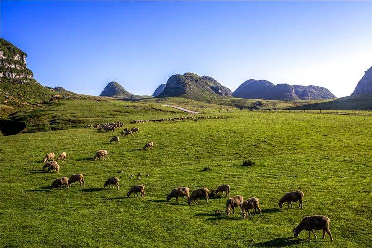 扇子舞最新风潮,舞动夏日温情