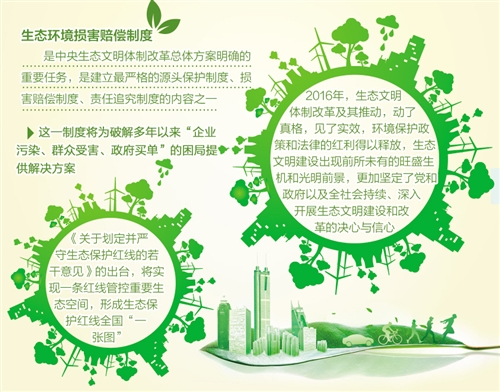 环保币最新动态，绿色变革的励志篇章