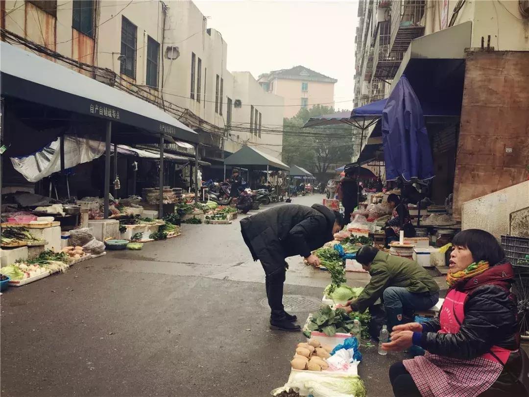 最新公务员法下的独特小巷美食之旅探索