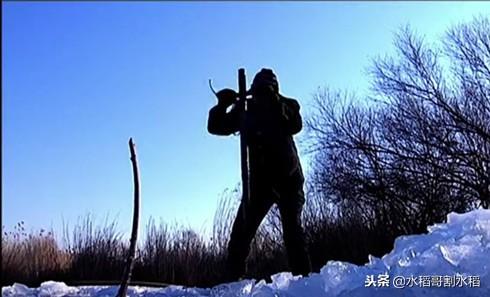 最新养殖业趋势,挑战与前景展望