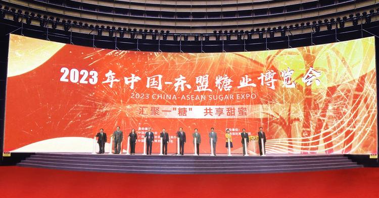 广西南宁最新新闻综述，城市发展的观点与论述
