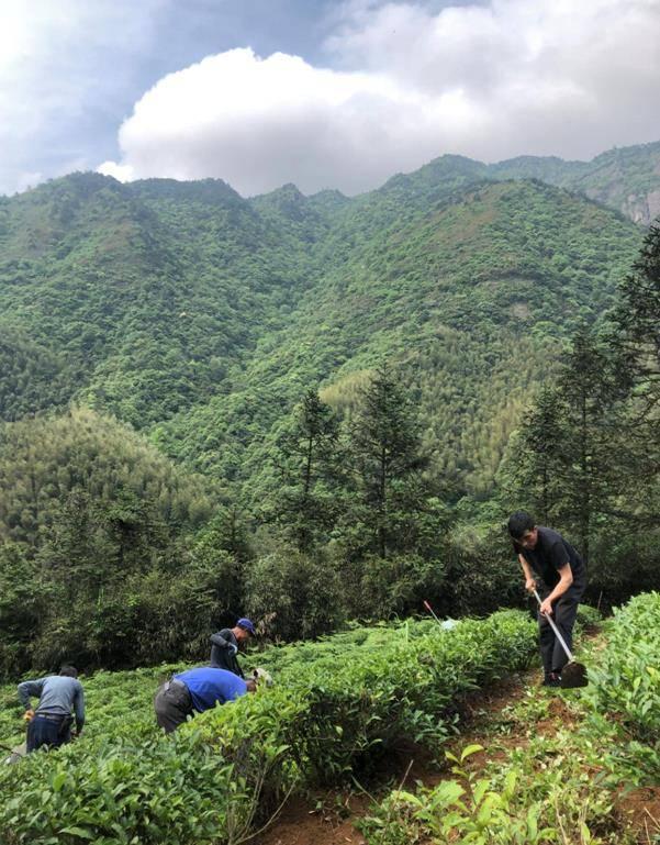 探索神秘微小生命,最新虫子的世界揭秘