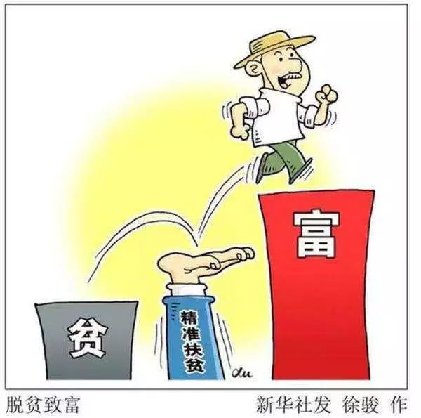 饲料招聘最新揭秘，小明的求职奇遇与友情的巨大力量