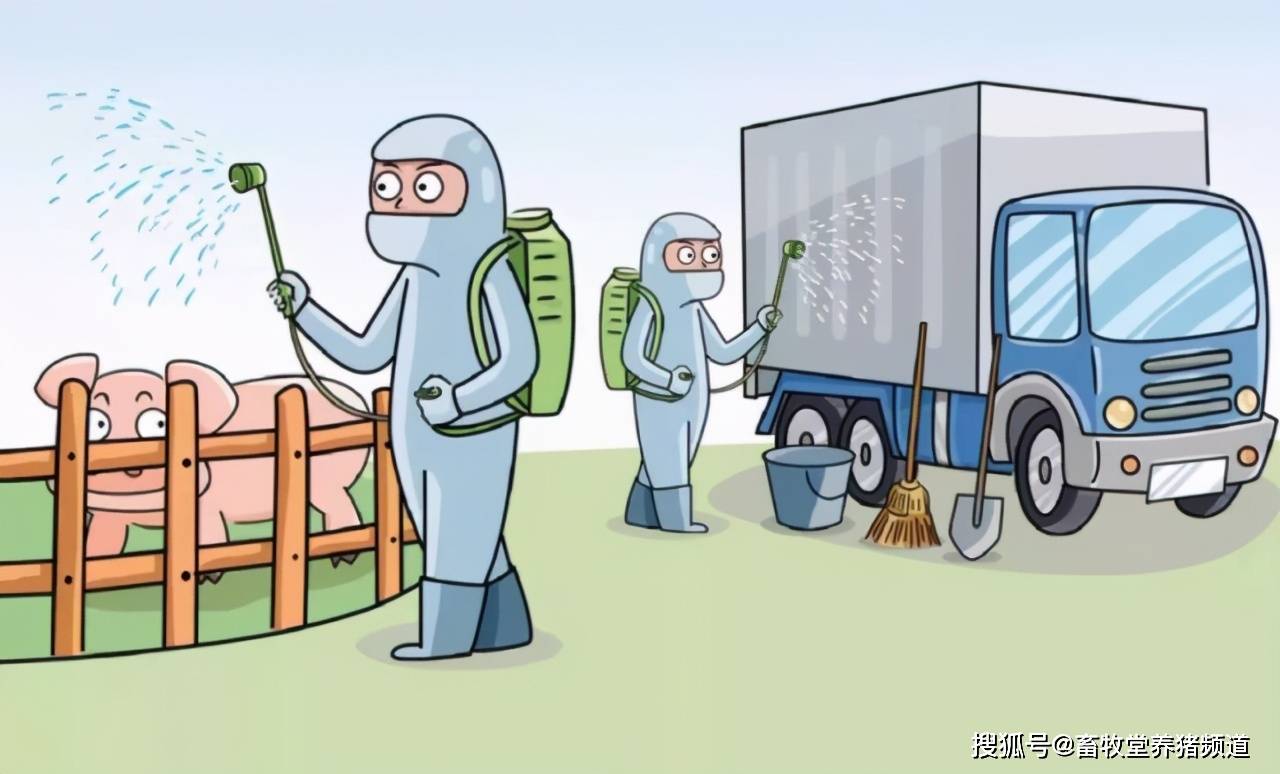 猪瘟最新疫情，理解、应对与防控措施全解析