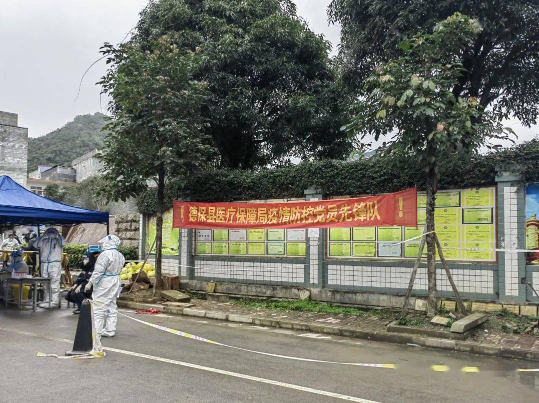 德保疫情实时更新,最新消息与动态