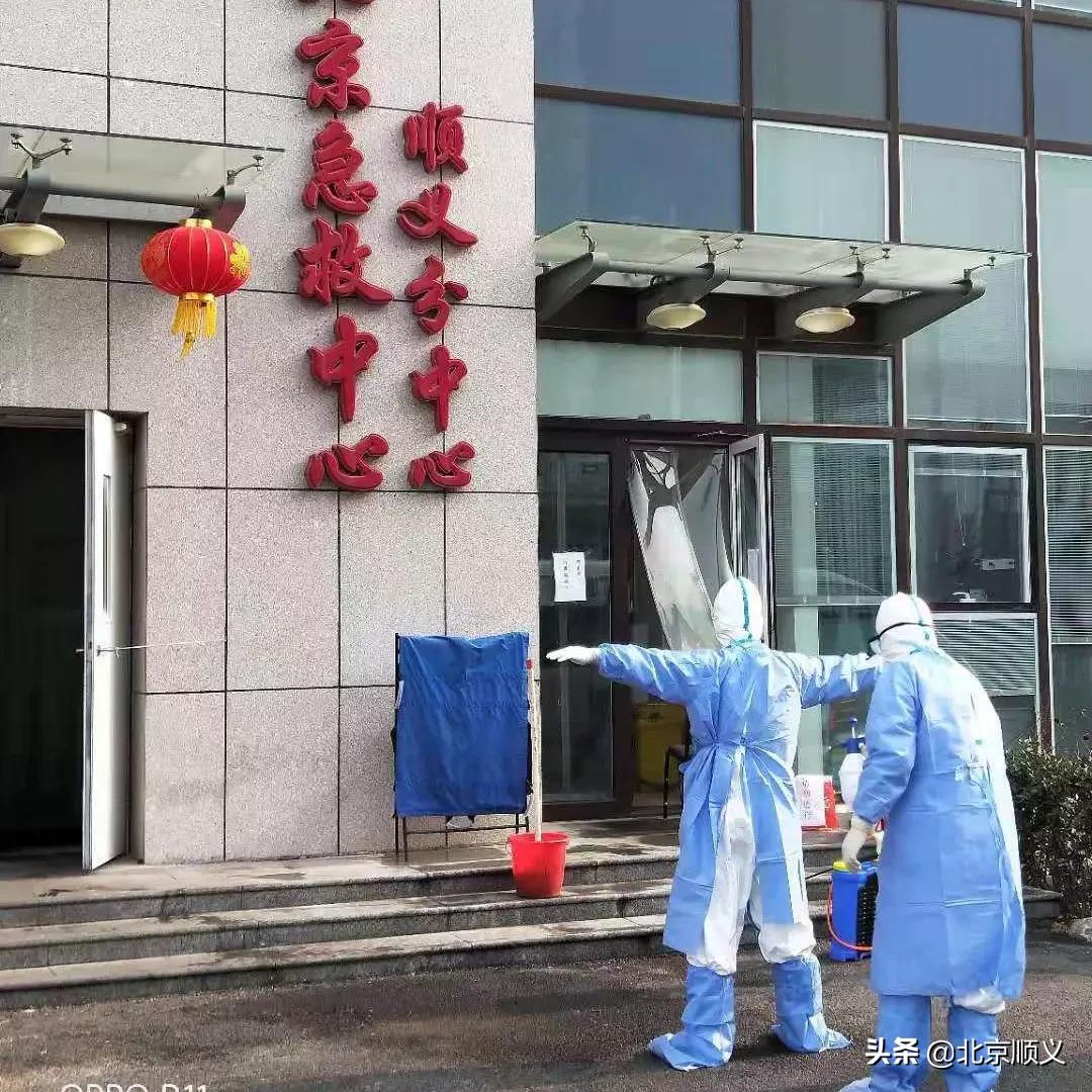 禽流感最新动态与科技前沿产品介绍及体验分享