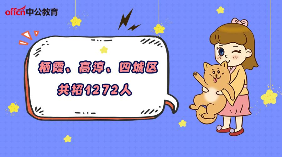 高淳最新招聘信息详解与探讨