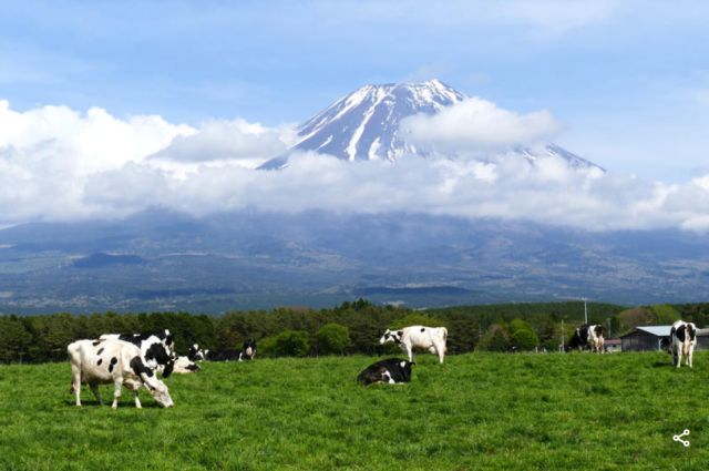 富士山最新动态,探寻内心平静的自然之旅
