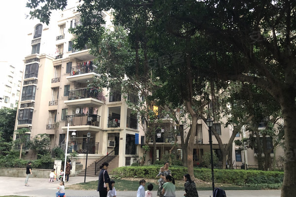 藤县楼盘最新价格动态,风景变化中的学习力量与楼市力量解析