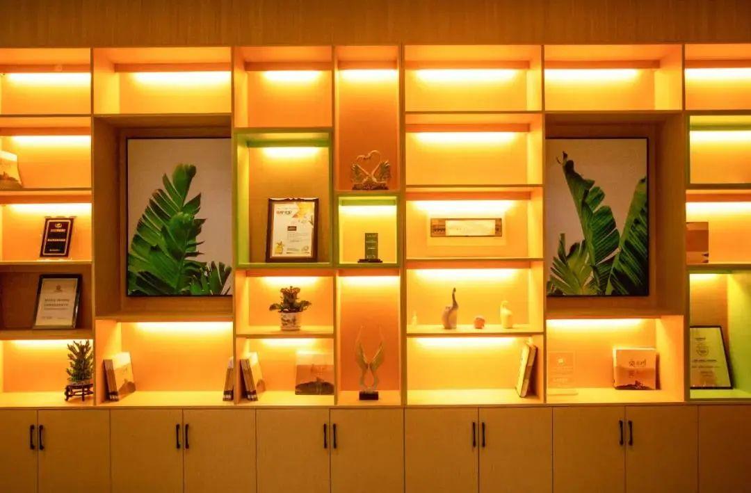 儿童最新舞蹈,小巷深处的宝藏奇迹