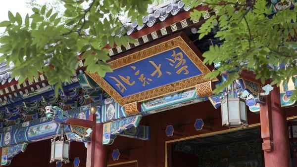 最新工资计算方法,自然美景探索之旅的薪酬揭秘
