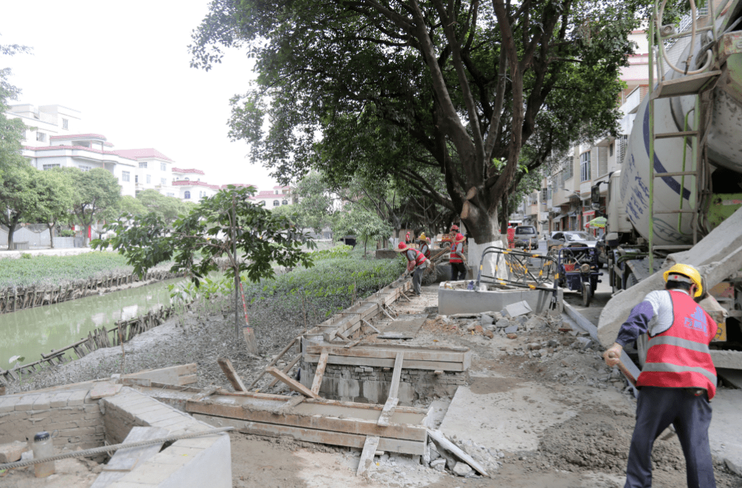 铁塔公司最新动态揭秘,小巷特色小店的独特魅力