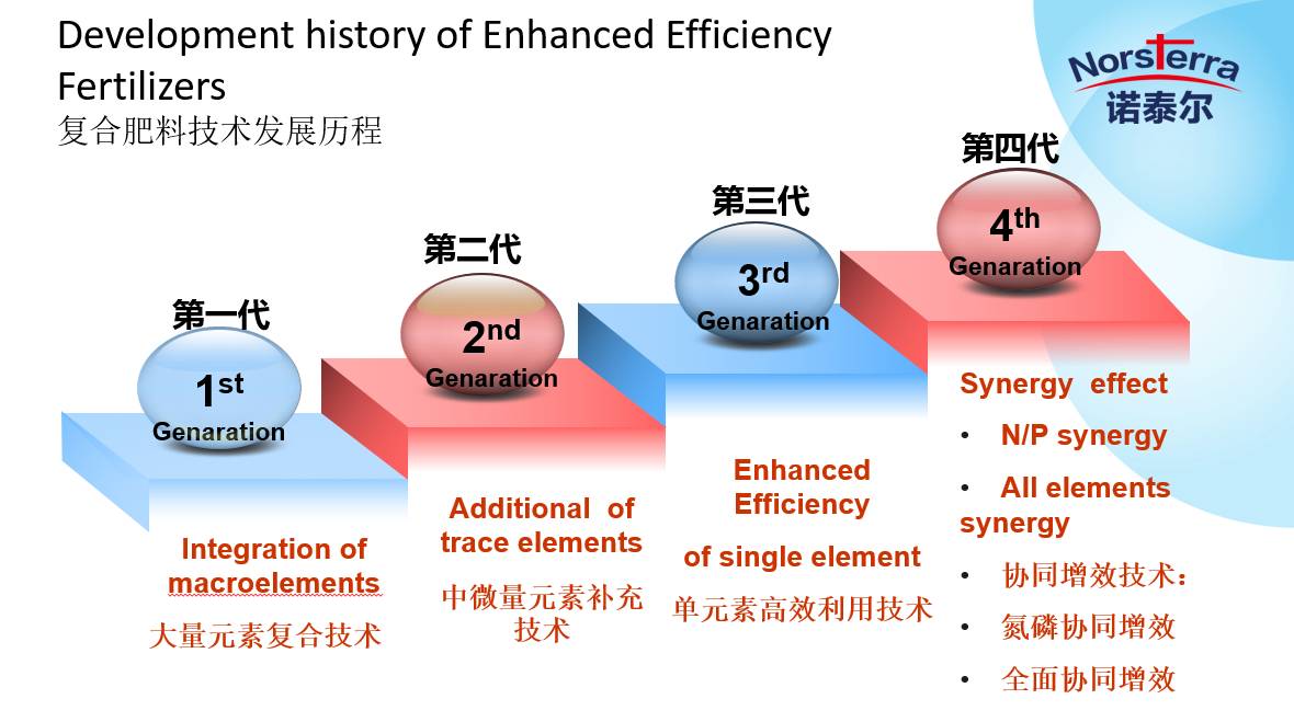 最新16P技术革新解析,引领时代潮流的前沿科技引领者